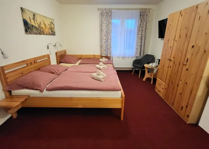U Koupaliste Πανσιόν Tisá